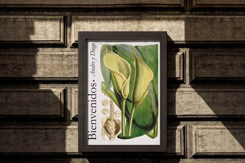 Poster Bienvenidos Calas