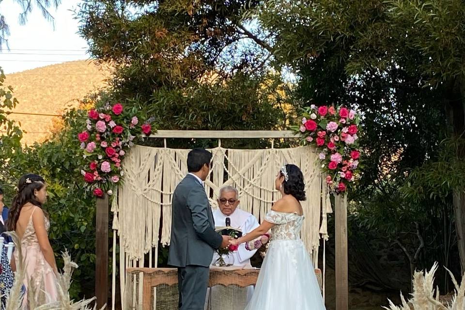 Bodas