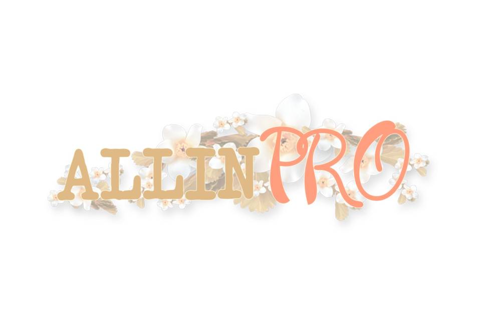 Allin Photo Pro
