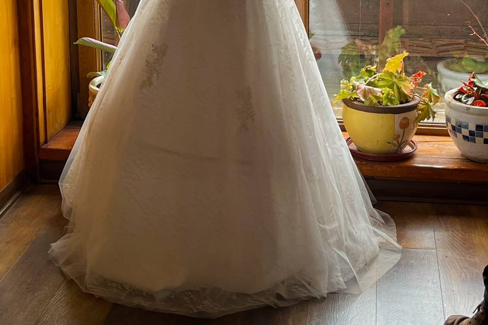 Novia