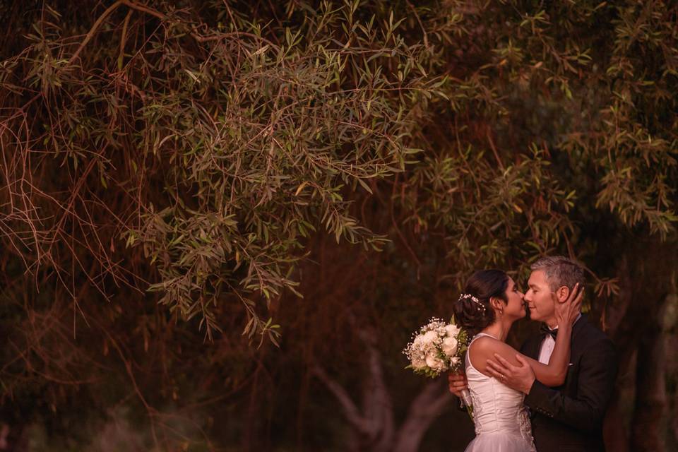 Novios en el bosque