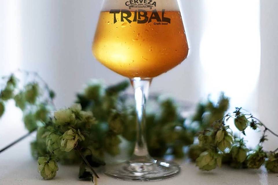 Cervecería Tribal Spa