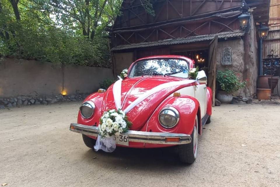 Escarabajos para Matrimonios