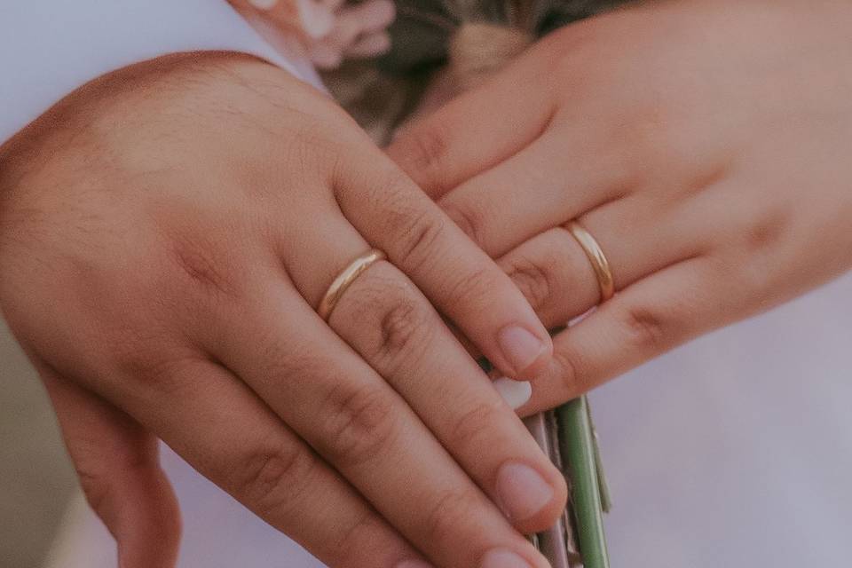 Anillos