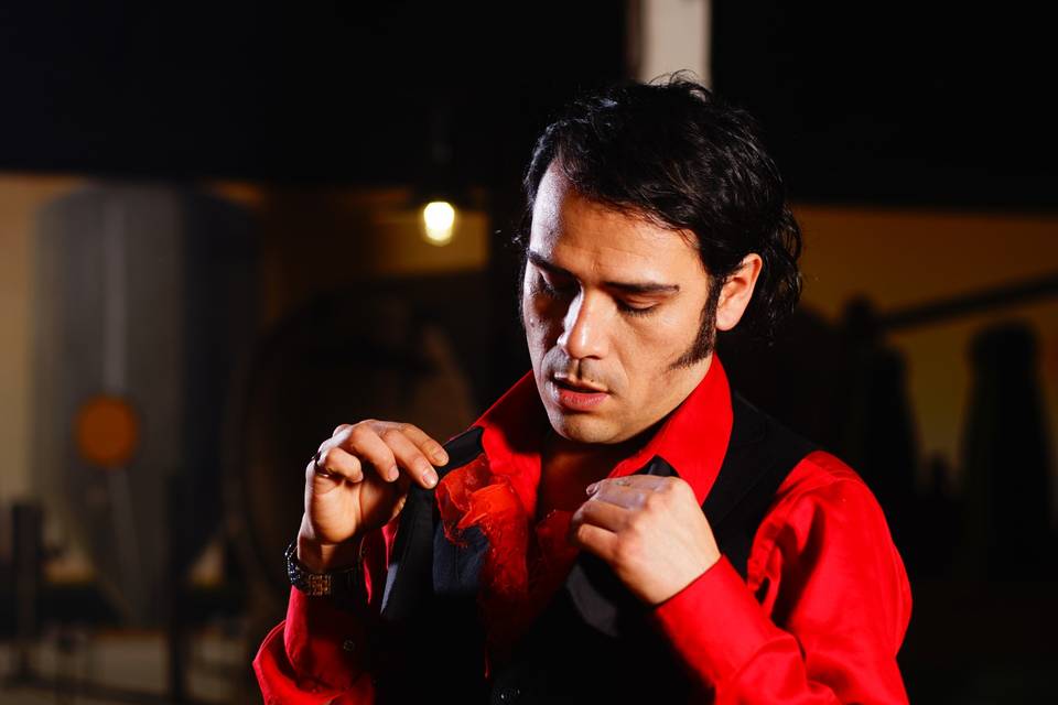 Show tributo a Sandro