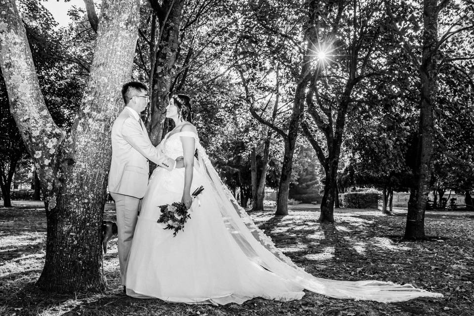 Sesion novios