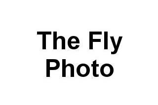 The Fly Photo