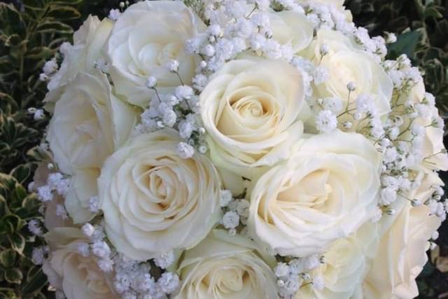 Flor y Rosas
