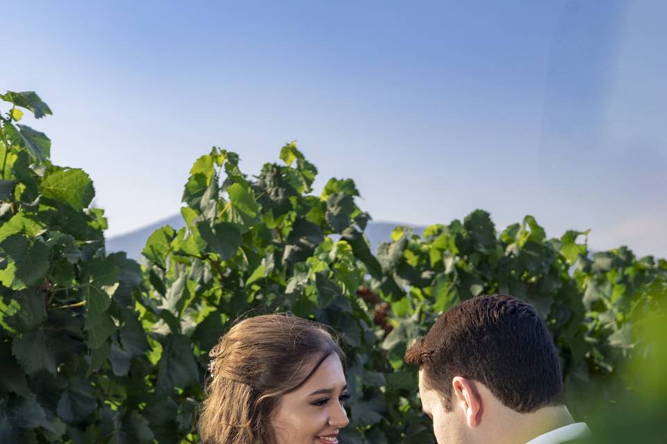 Viñamar
