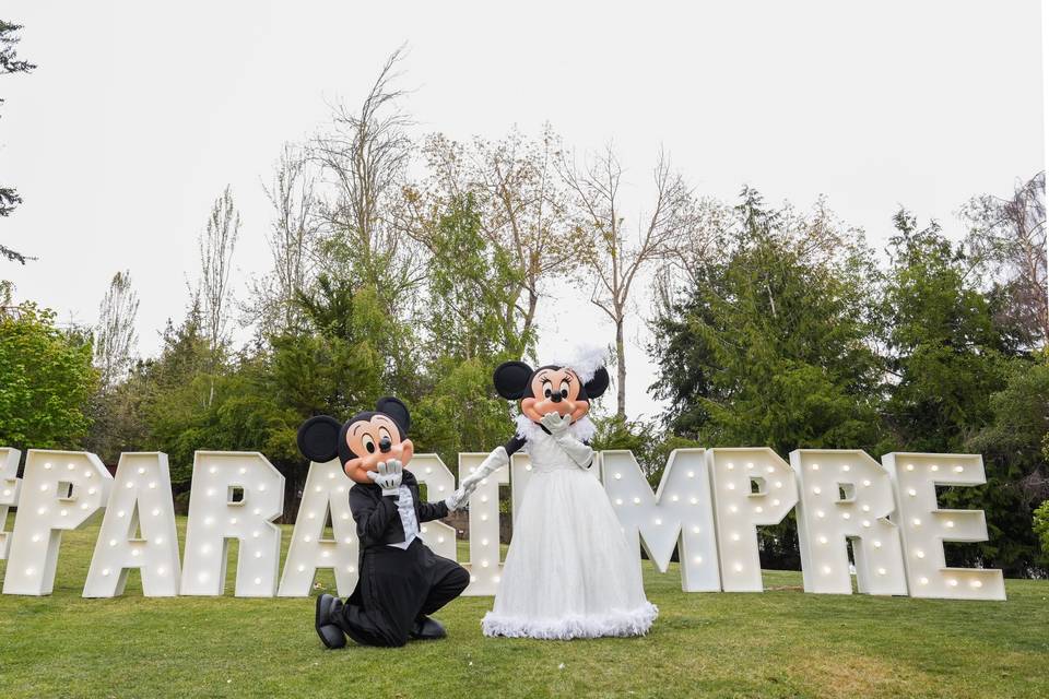 Mickey & Minnie bodas