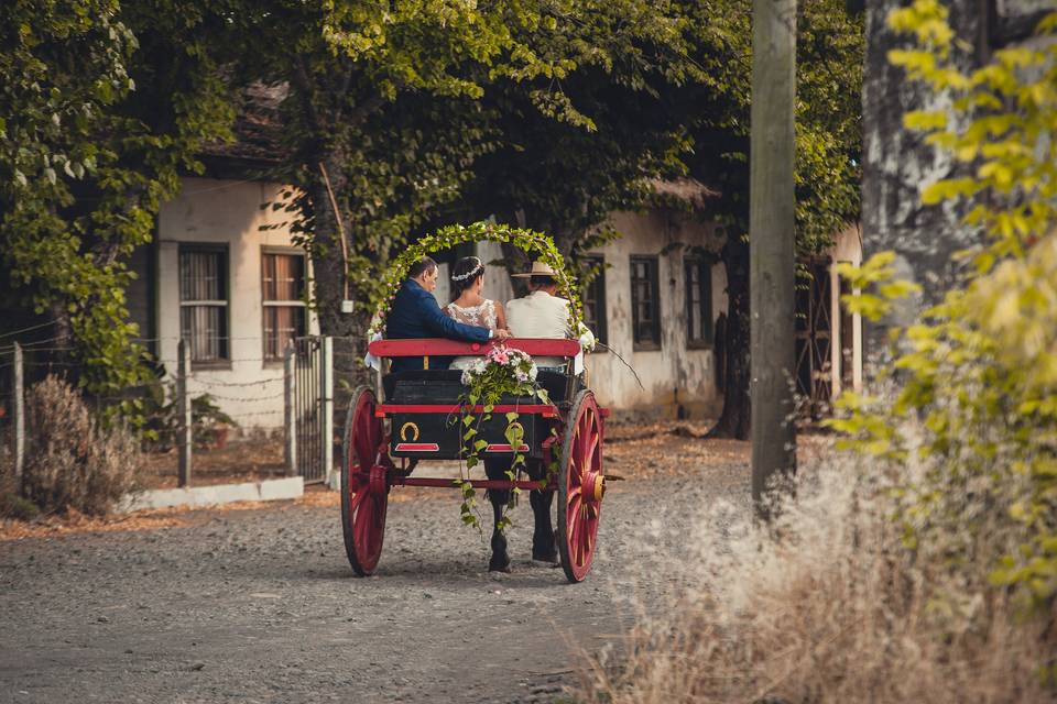 Ximena & Tiberio