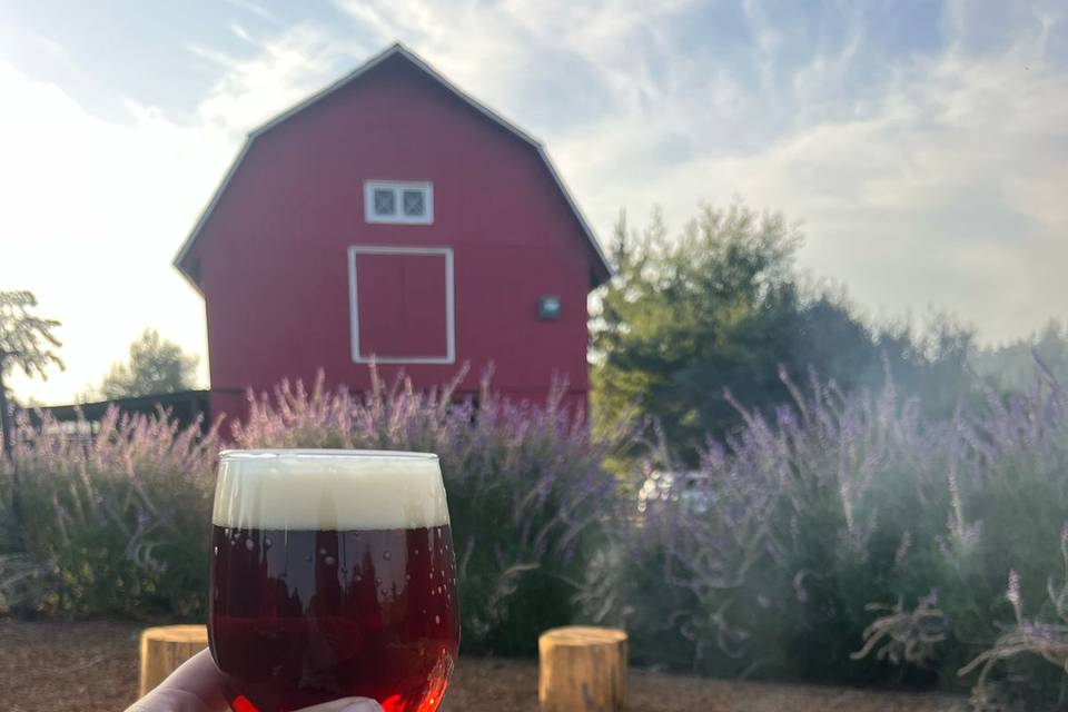 Disfruta de nuestra cerveza
