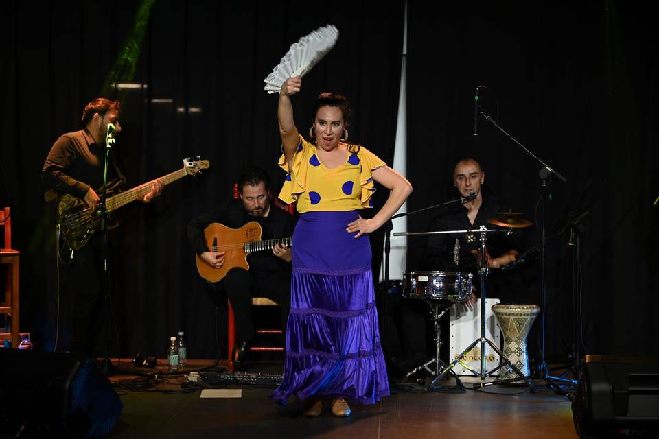 Gipsy Brothers en vivo