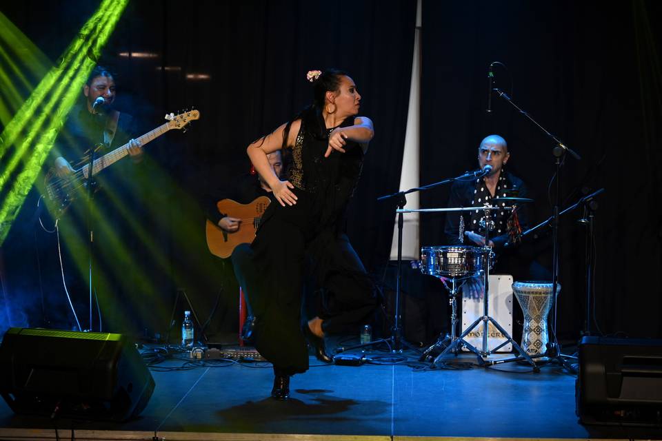 Gipsy Brothers en vivo