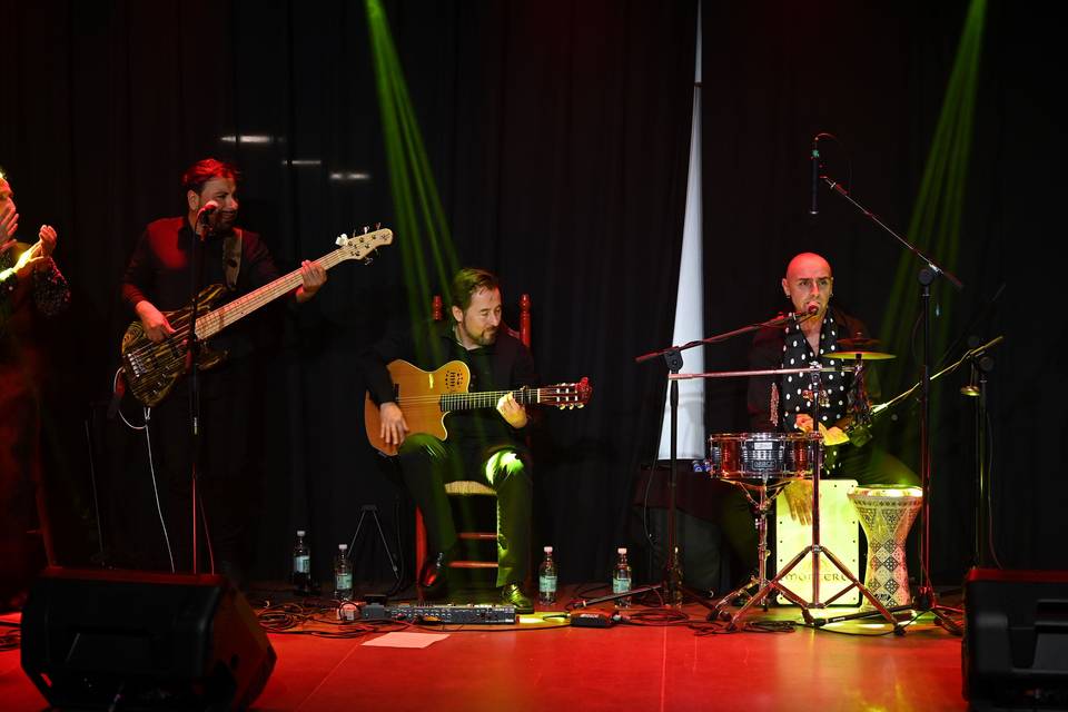 Gipsy Brothers en vivo