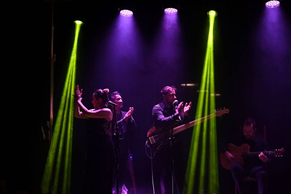 Gipsy Brothers en vivo