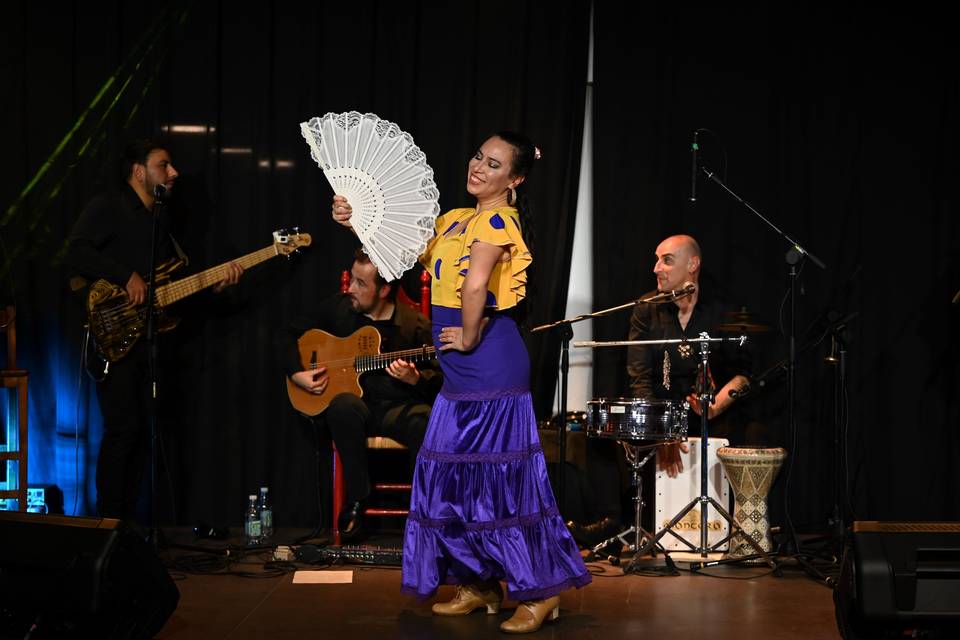 Gipsy Brothers