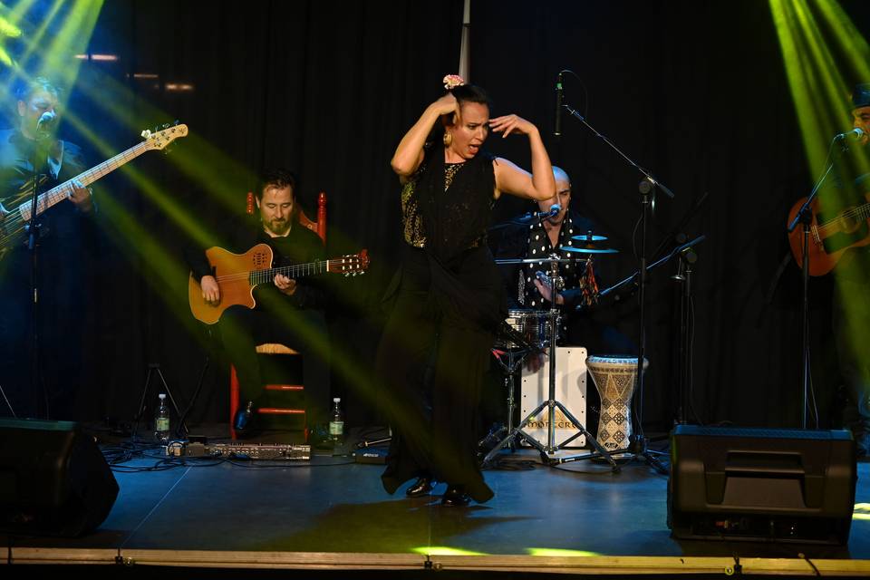 Gipsy Brothers en vivo