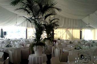 Carpas para eventos