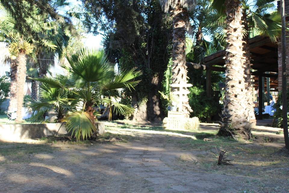 Arenero