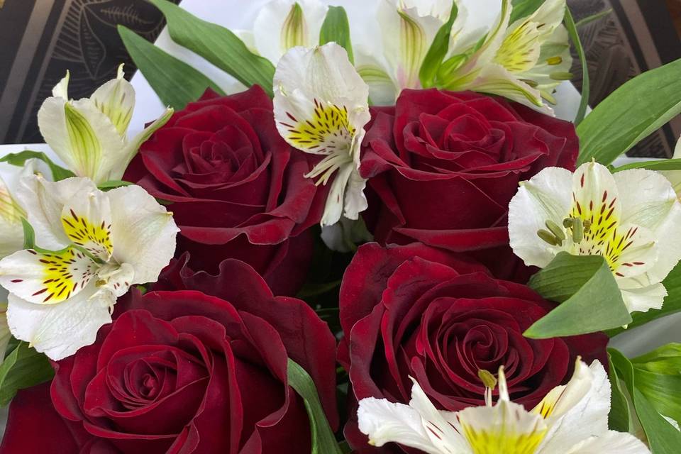 Delicadeza