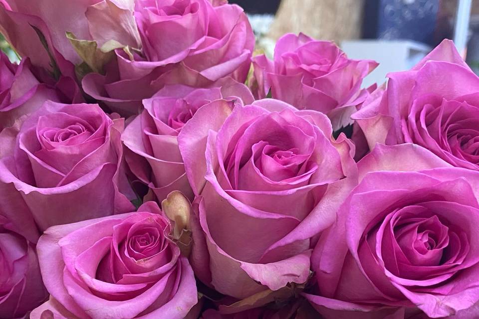 Rosas