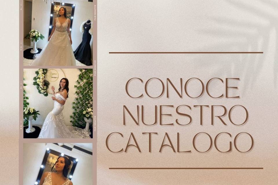 Catálogo