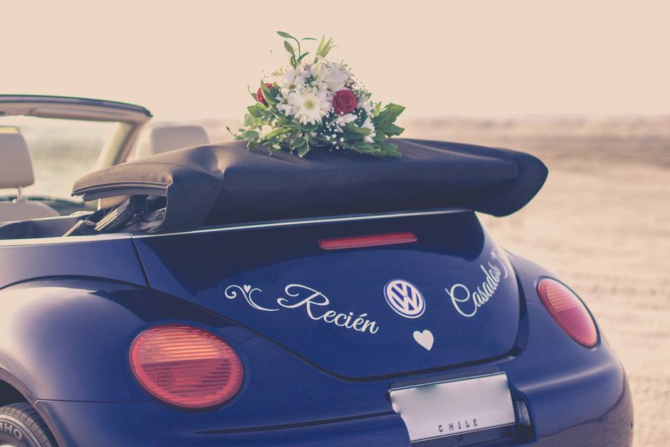 Je t'aime