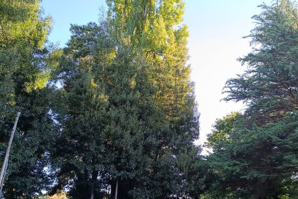 Montaje aire libre