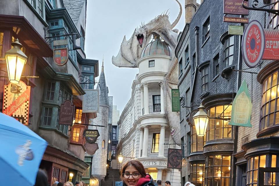 Harry Potter en Universal