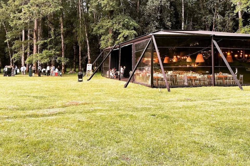 Carpa techo negro