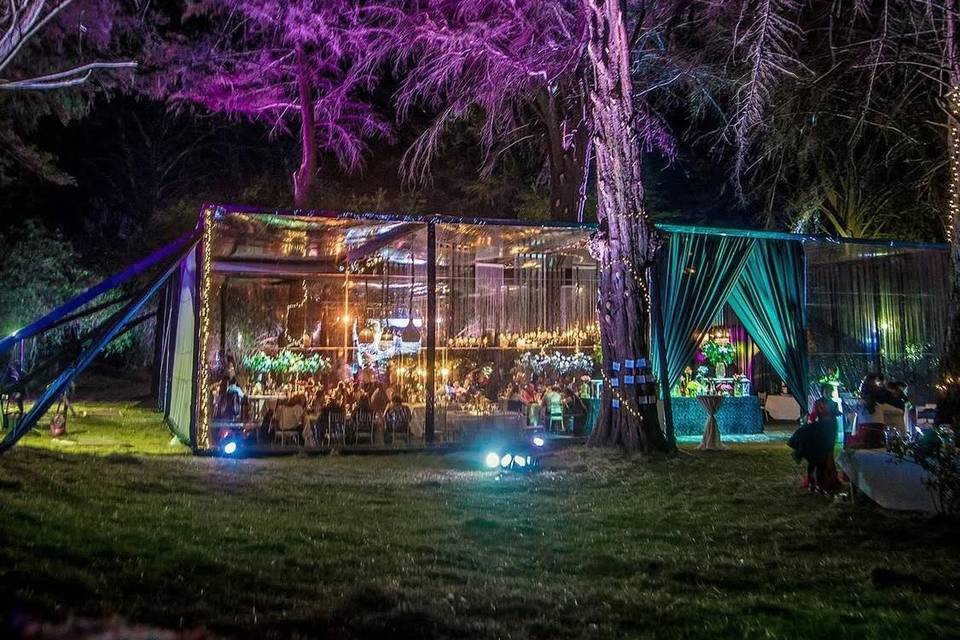 Carpa transparente