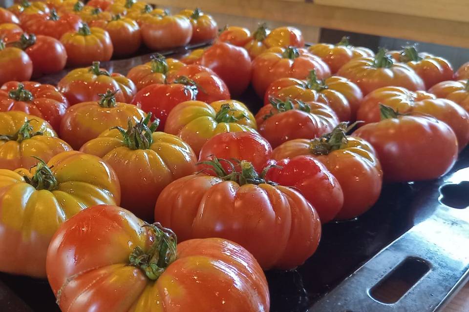 Tomate limachino al horno