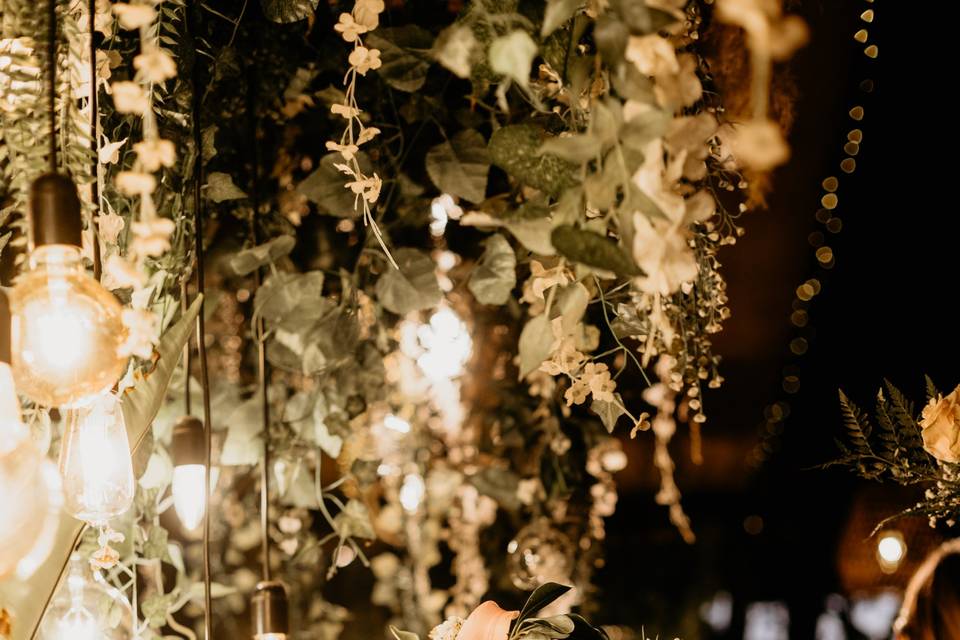 Deco carpa