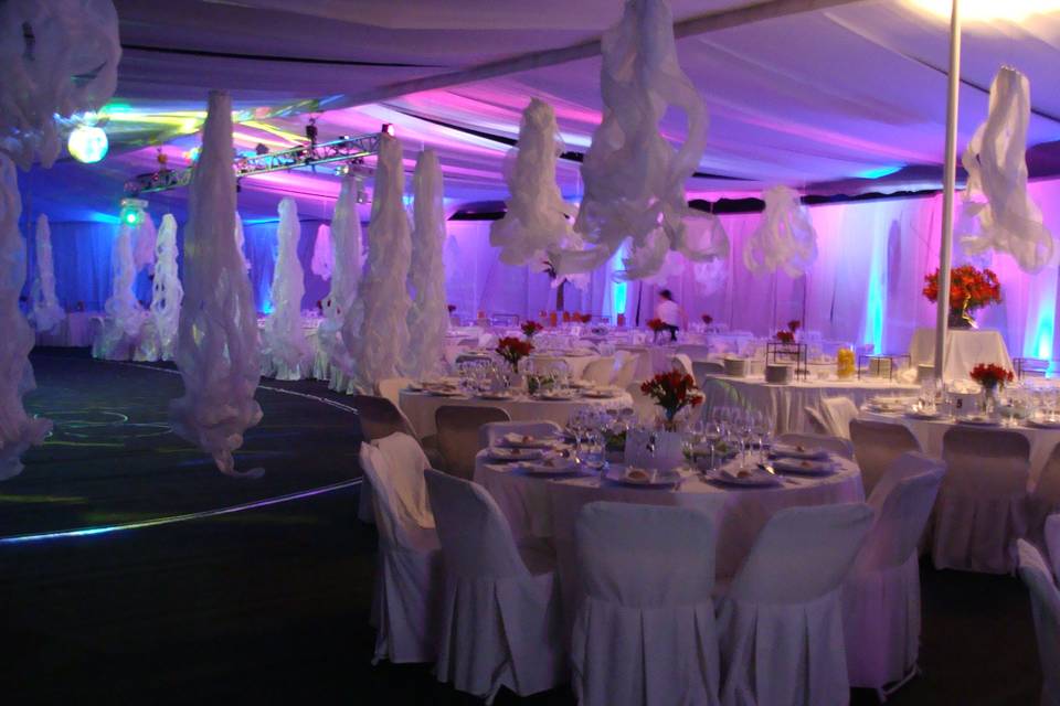 Matrimonio gym sieb