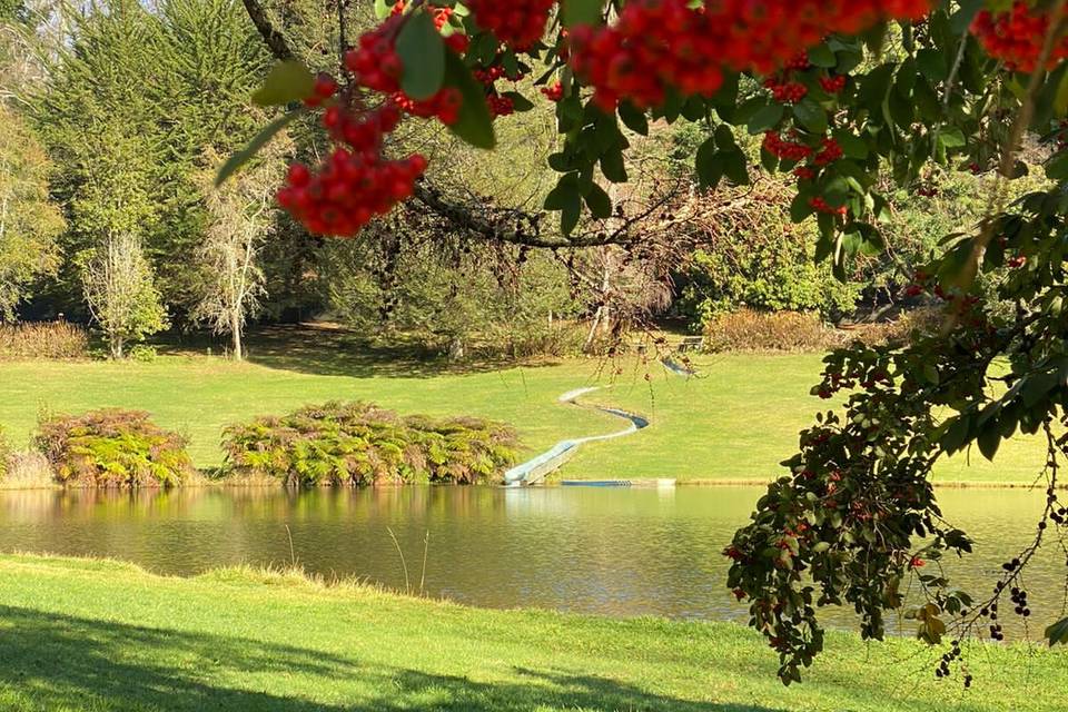 Parque y tobogán