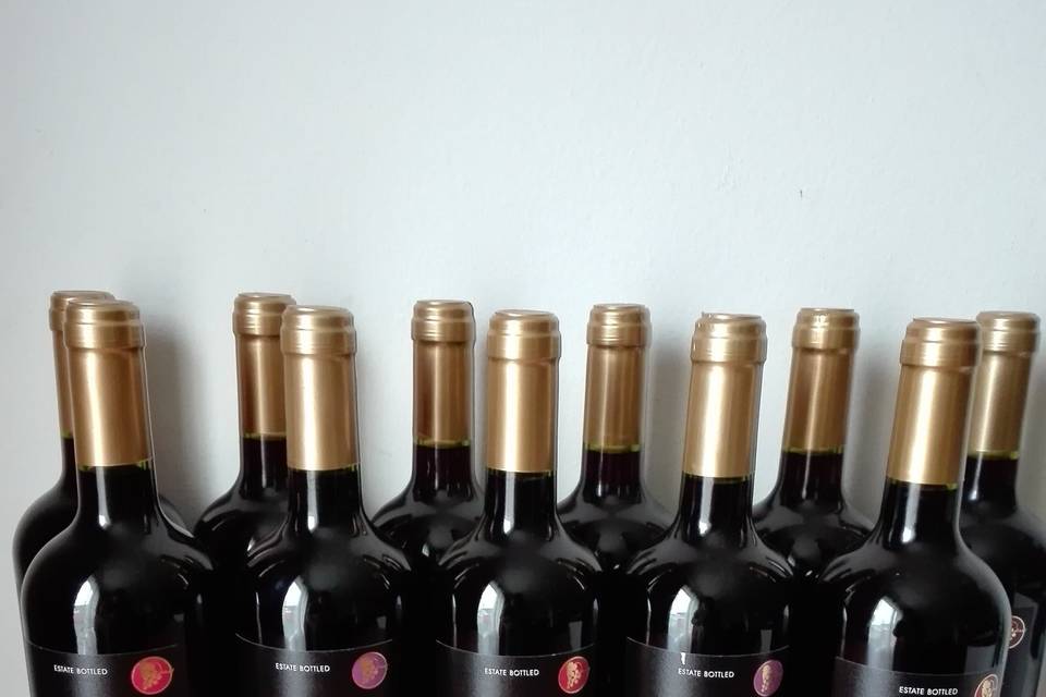 Vinos Vineyard