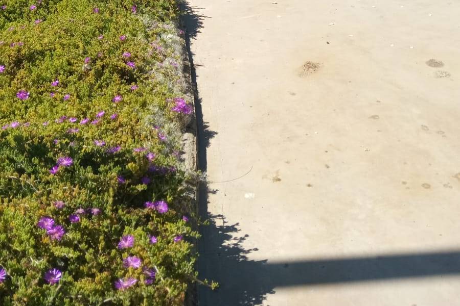 CENTRO DE EVENTOS Y RESORT