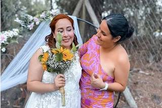 Farfalla