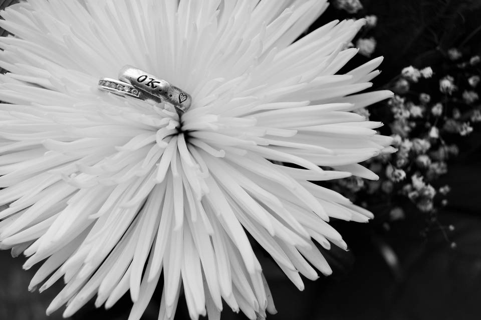 Anillos en flor