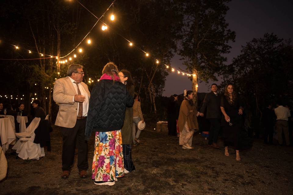 Ambiente campestre nocturno