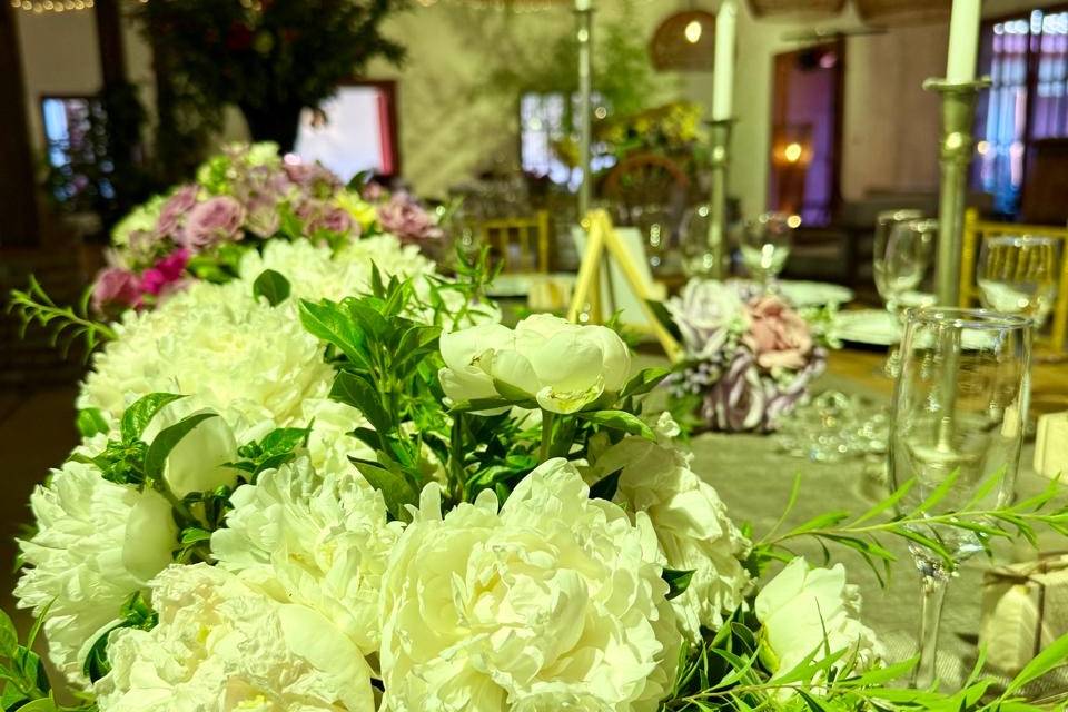 Peonia 2