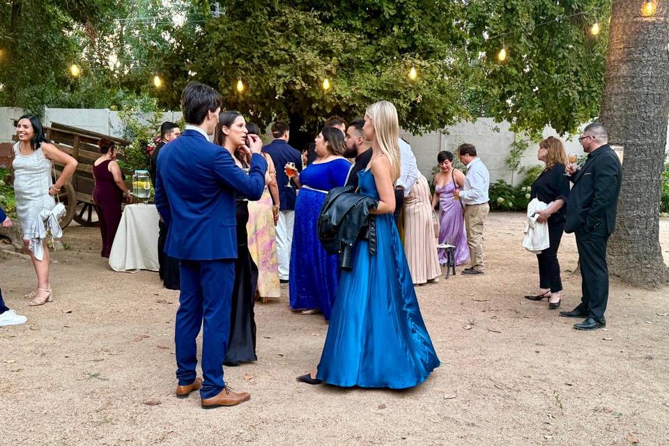 Invitados