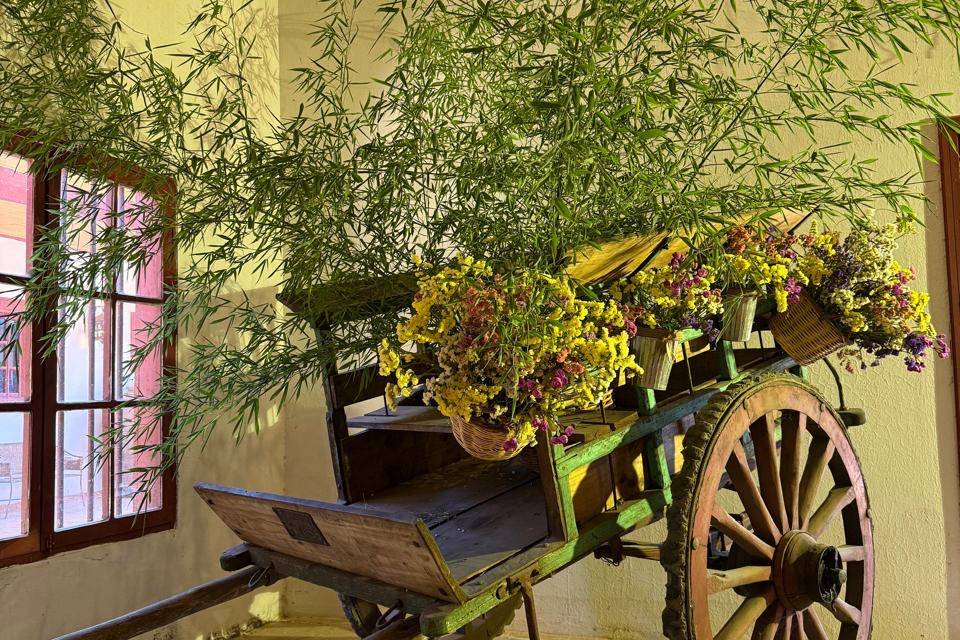 Carreta 1