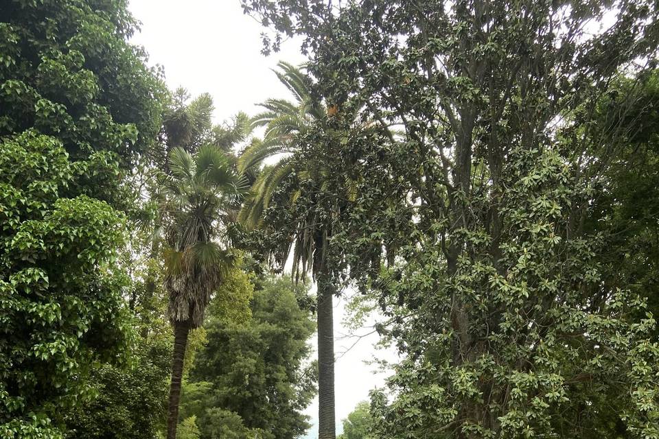 Garzones