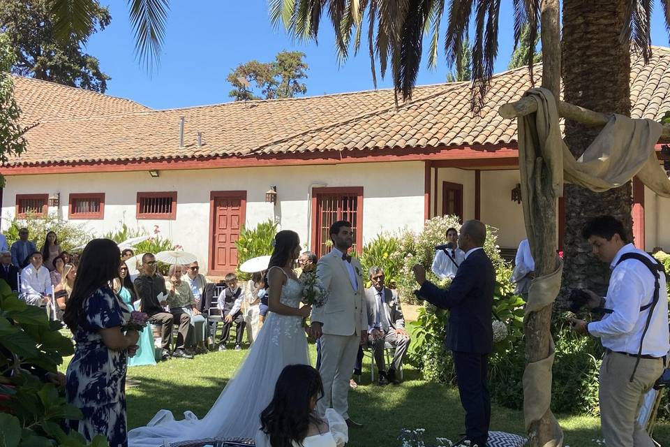 Novios