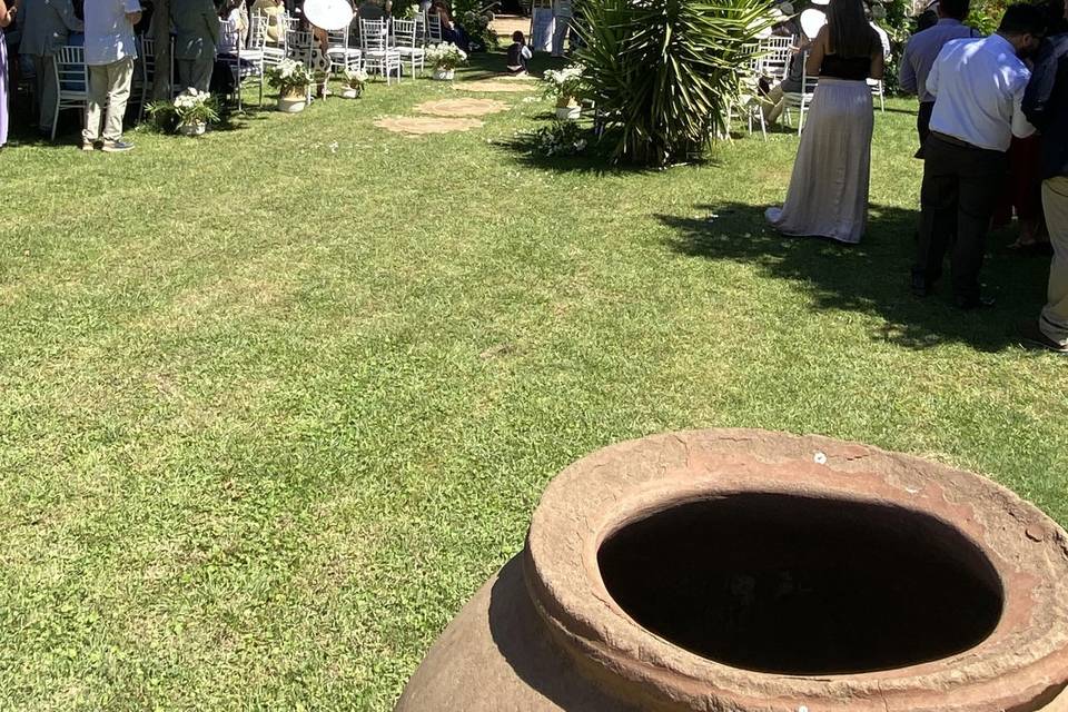 Palmeras