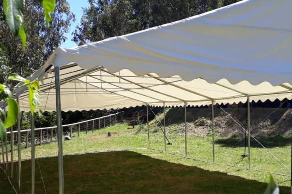 Toldo