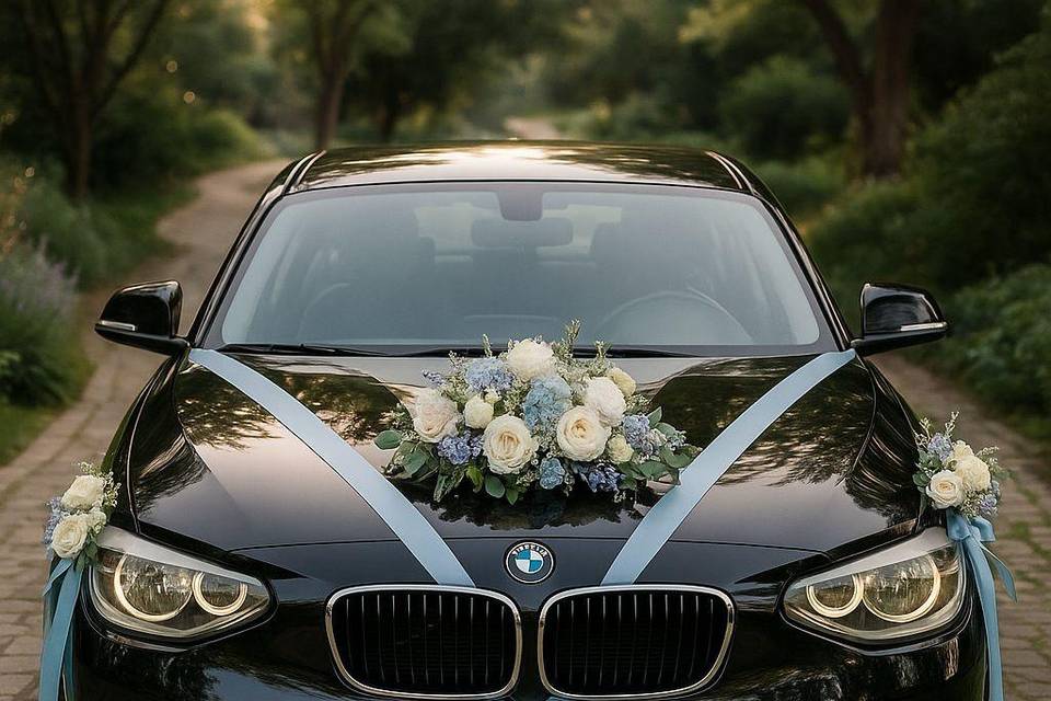 Auto traslado novios