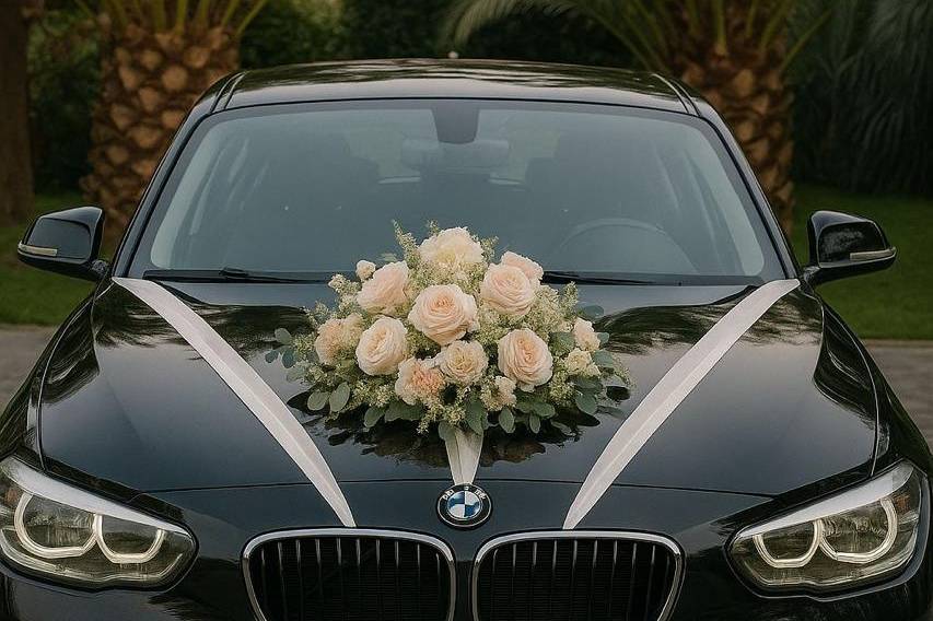 Auto traslado novios
